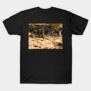 Southern Spires 2 T-Shirt